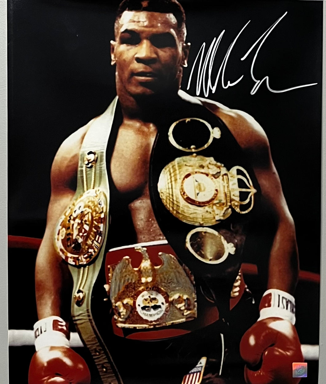 Mike Tyson Hand Signed Photograph